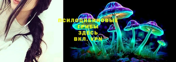 амфетамин Богородицк