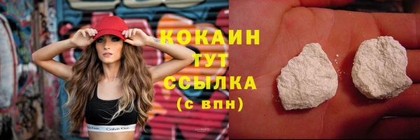 прущие грибы Богородск