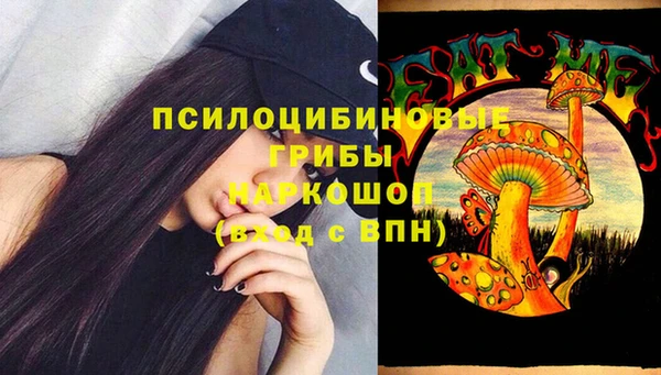 прущие грибы Богородск