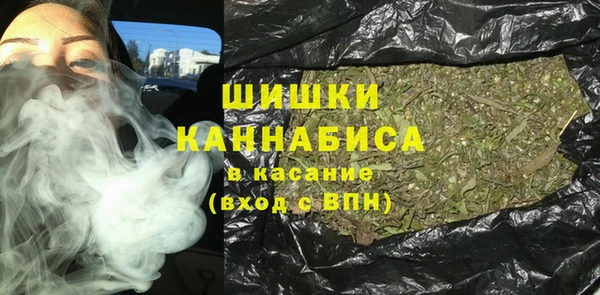 бошки Богданович