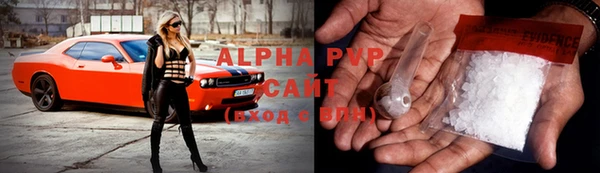 прущие грибы Богородск
