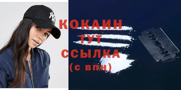 бошки Богданович