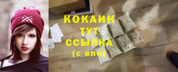 бошки Богданович