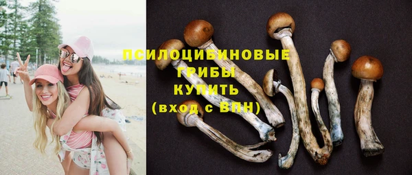 прущие грибы Богородск
