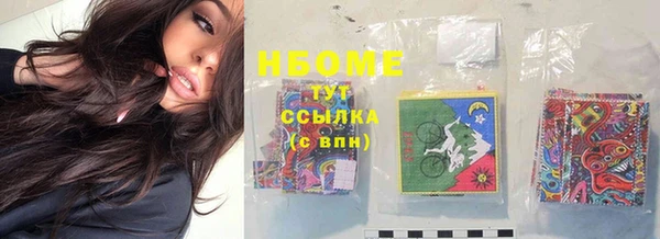 прущие грибы Богородск