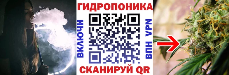 Бошки марихуана планчик  Оха 